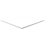 Rockfon Tropic A24 stepup akustikloft 600x600 mm