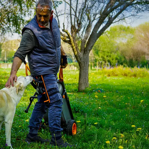 Worx WA4655 hylster til kædesav 