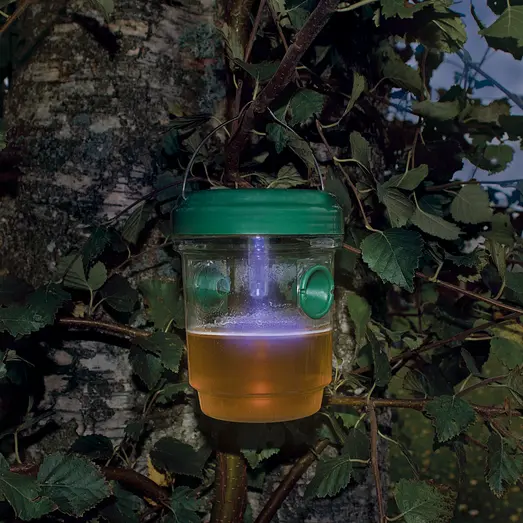 Hvepsefælde solar/LED 2 stk.