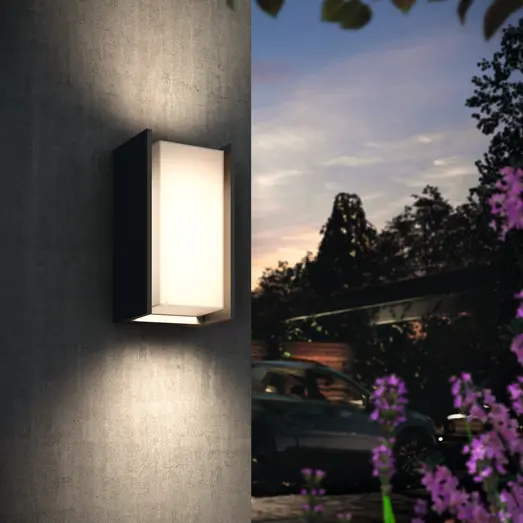 Philips Hue Turaco udendørs væglampe antracit