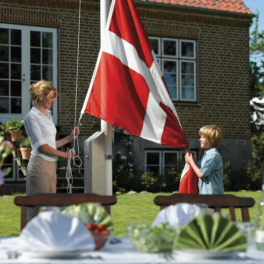 DanoMast flangstang med knop, line og lineholder