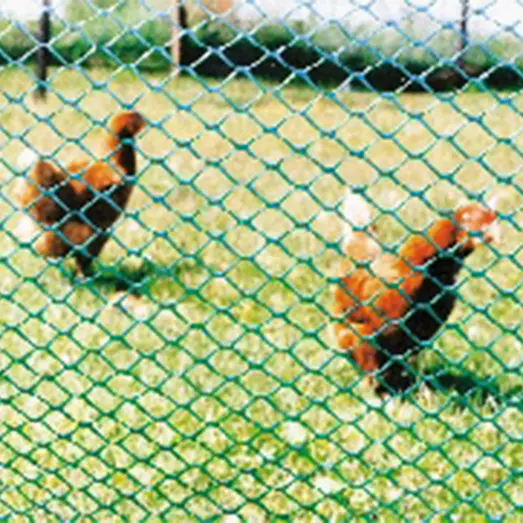 Expo-Net kyllingenet 10 m grøn