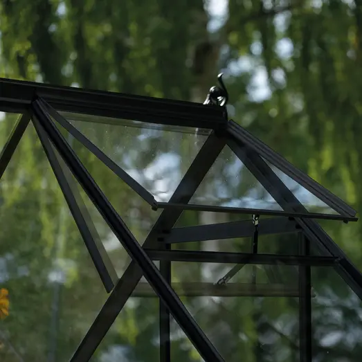 Halls ICON 6 drivhus 4,9 m² (6'x8') sort m/3 mm hærdet glas