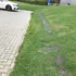Expo-Net kyllingenet 10 m grøn