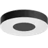 Philips Hue Xamento M loftslampe Ø38,1 cm 33,5W sort