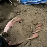 Topdressing BigBag á 1000 kg