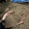 Topdressing BigBag á 1000 kg