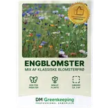 DM Greenkeeping engblomster blomsterfrø 5 g