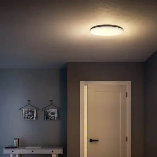 Philips Wawel plafond 20W hvid