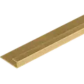 Fibrotech SPE Edge profil 2610 mm brass