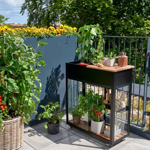 Juliana Urban Vertical minidrivhus sort med hærdet glas