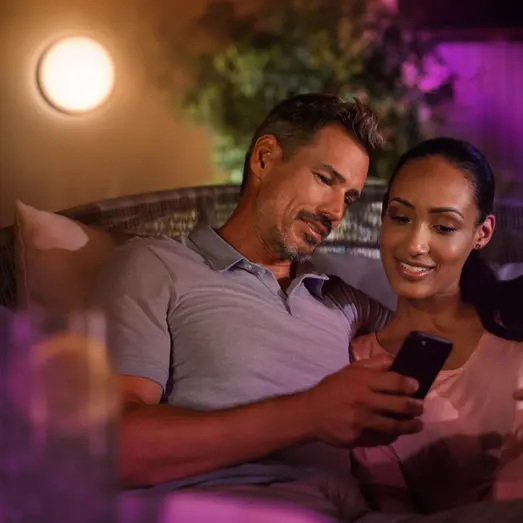 Philips Hue Daylo udendørs væglampe 15W sort