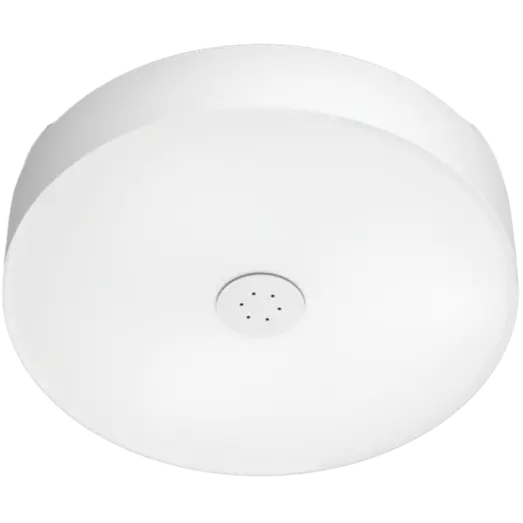 Philips Hue Fair loftslampe LED