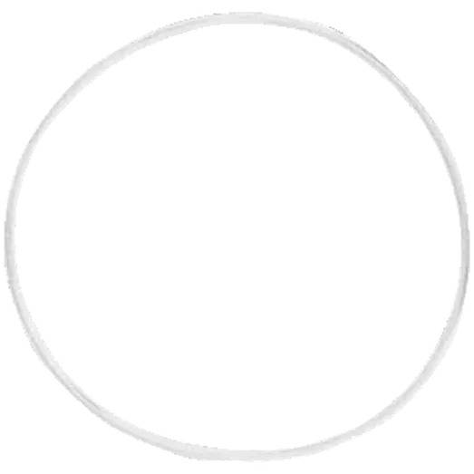 Purus o-ring t/vandlås