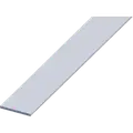 Roliba fladprofil 2x30 mm