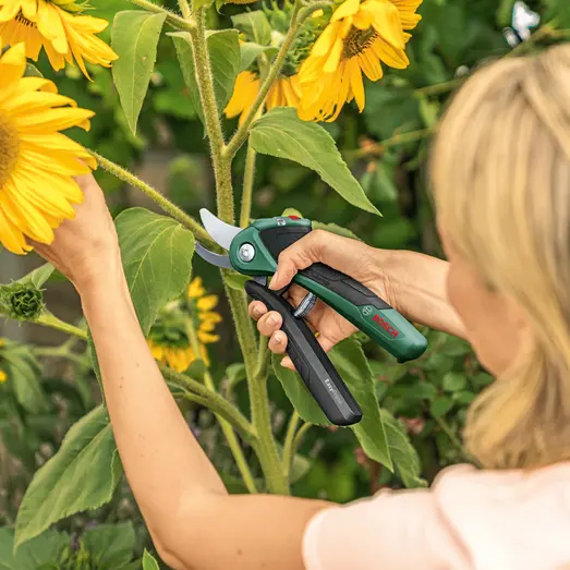 Bosch Easy Prune 3,6 V beskærsaks inkl. batteri