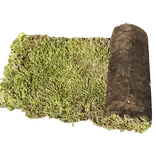 Growtek Sedummåtter