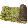 Growtek Sedummåtter