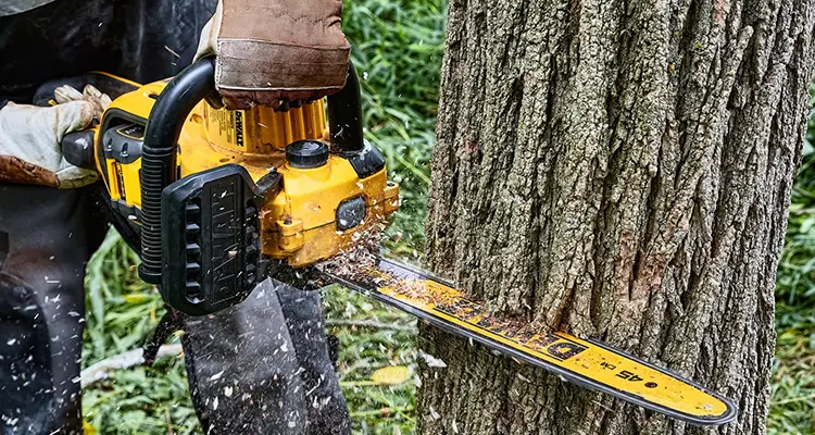 Dewalt batteridrevne havemaskiner