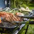 Weber® Traveler® gasgrill