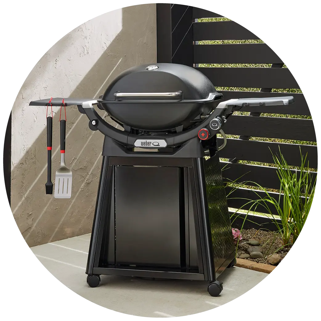 Weber Q serie