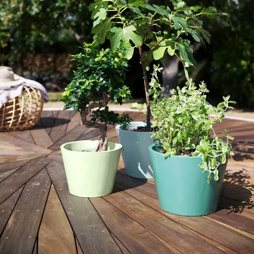 GORI 303 transparent træolie træterrasser farveløs