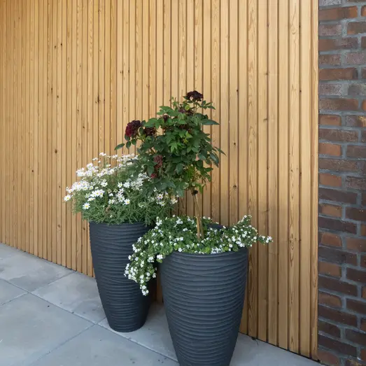 Lunawood ThermoWood TGUU beklædning børstet 21x117 mm fyr