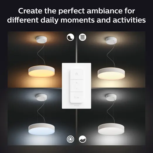 Philips Hue Enrave pendel Ø42,5 mm 33,5W hvid