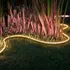 Philips Hue Lightstrip Outdoor 5 meter