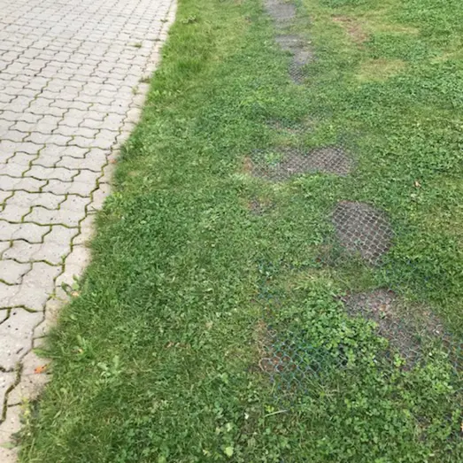 Expo-Net kyllingenet 10 m grøn