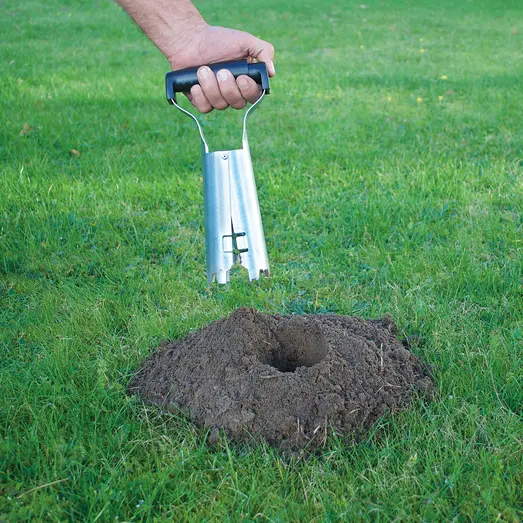 Hulbor T/Mosegrisefælde