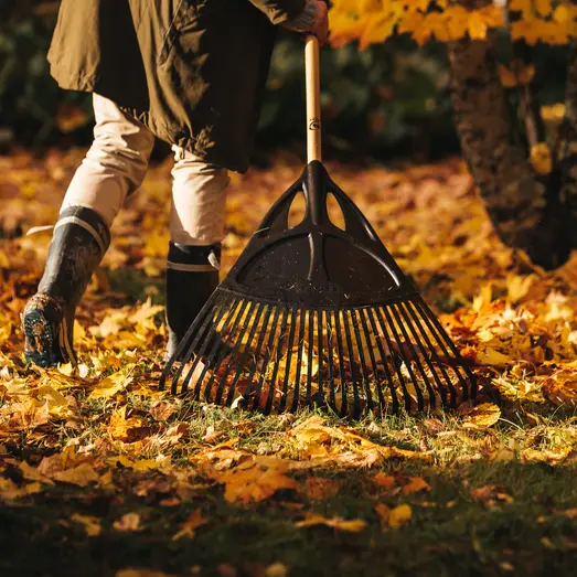 Fiskars løvrive sort XL