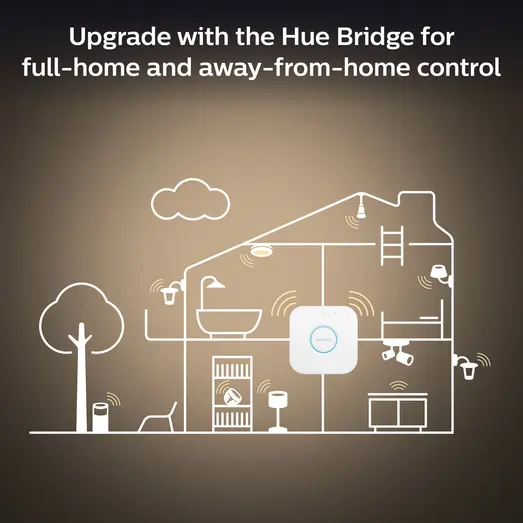 Philips Hue Enrave L plafond Ø42,5 cm 33,5W sort